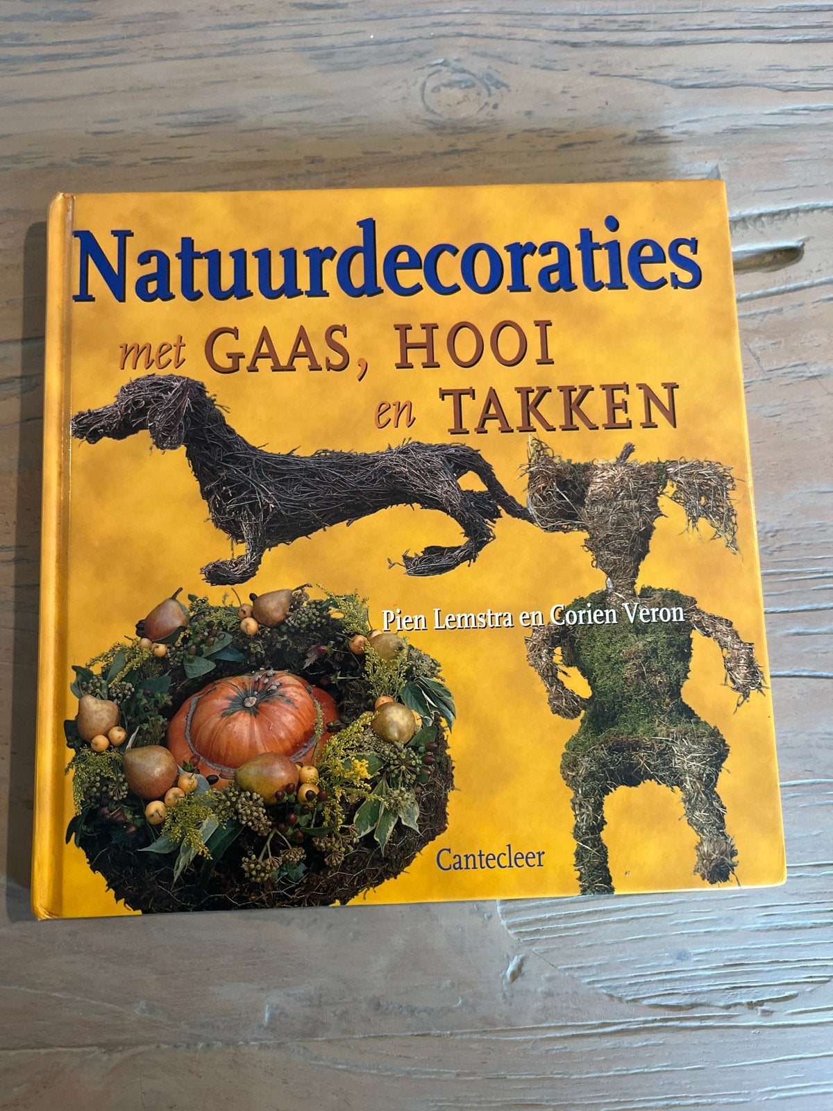 Natuurdecoraties met gaas, hooi en takken - Knutselboek, Ophalen of Verzenden, Gelezen, Overige onderwerpen