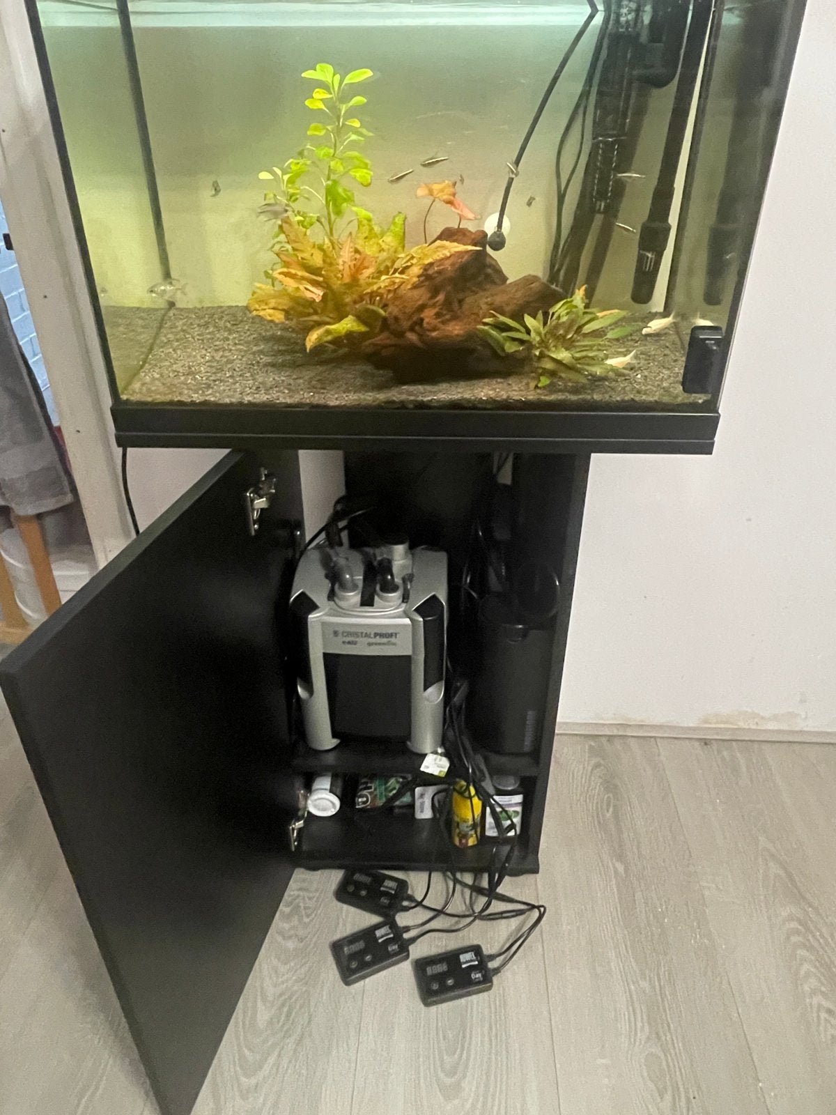Juwel primo 60 + jbl e402 + daycontrol, Dieren en Toebehoren, Ophalen, Inclusief vissen, Juwel, Gevuld zoetwateraquarium