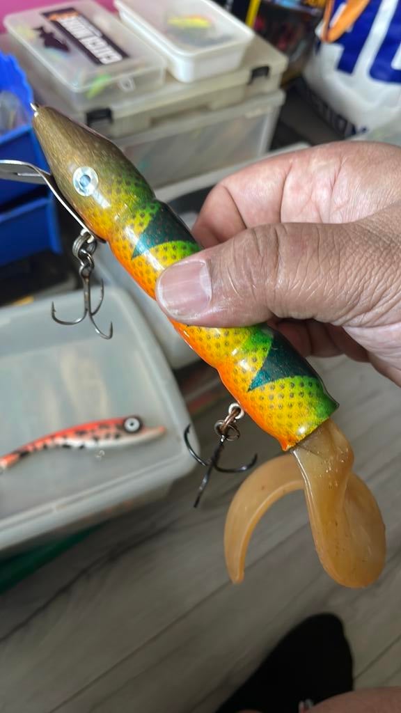 Rex dildo nk baits snoek fisker, Ophalen of Verzenden, Gebruikt, Overige typen