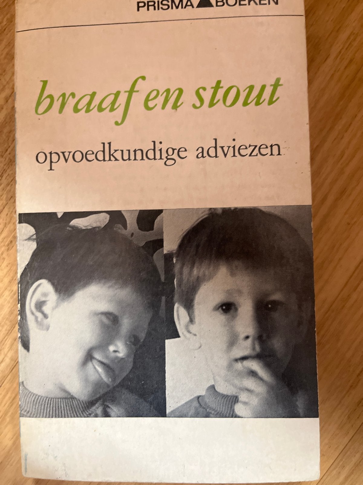 Braaf en Stout: Opvoedkundige Adviezen - Dorothy K. Whyte, Ophalen of Verzenden, Gelezen, Opvoeding tot 6 jaar