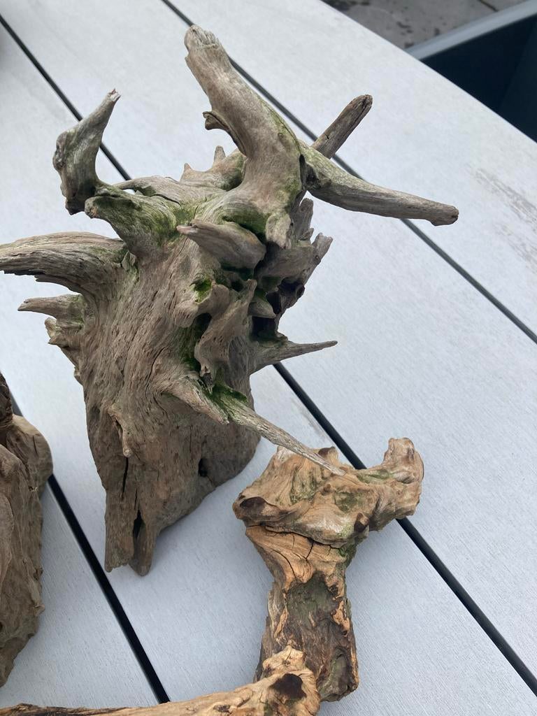 Decoratief drijfhout set - Unieke natuurlijke stukken, Dieren en Toebehoren, Ophalen of Verzenden, Gebruikt