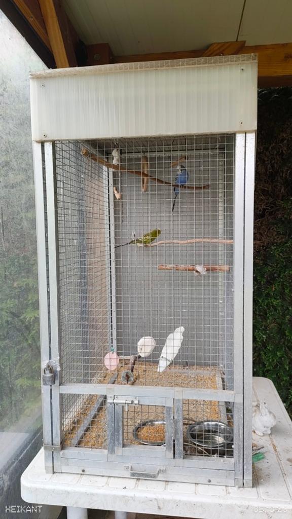Kleine volière / vogelkooi H105 x
B55 x D72 cm., Dieren en Toebehoren, Ophalen, Gebruikt, Aluminium, Vogelkooi