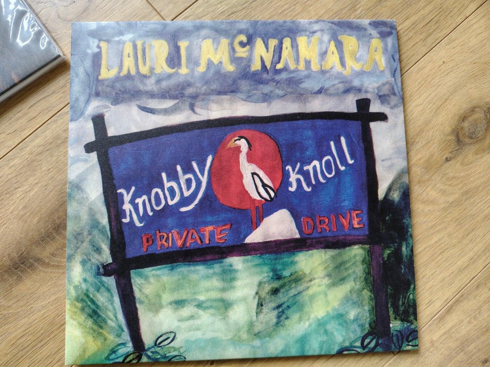 Indie folk rock LAURI MCNAMARA : KNOBBY KNOLL, Cd's en Dvd's, Ophalen of Verzenden, Zo goed als nieuw, 12 inch, Folk Rock