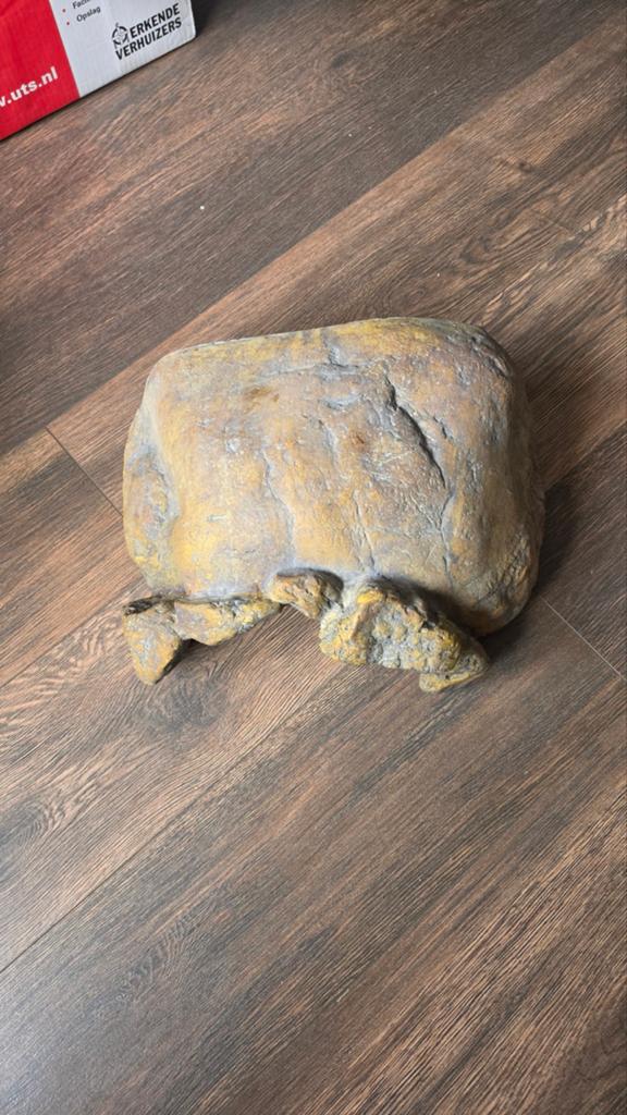 Huisjes voor baardagaam of andere reptielen., Ophalen, Zo goed als nieuw, Terrarium of Paludarium