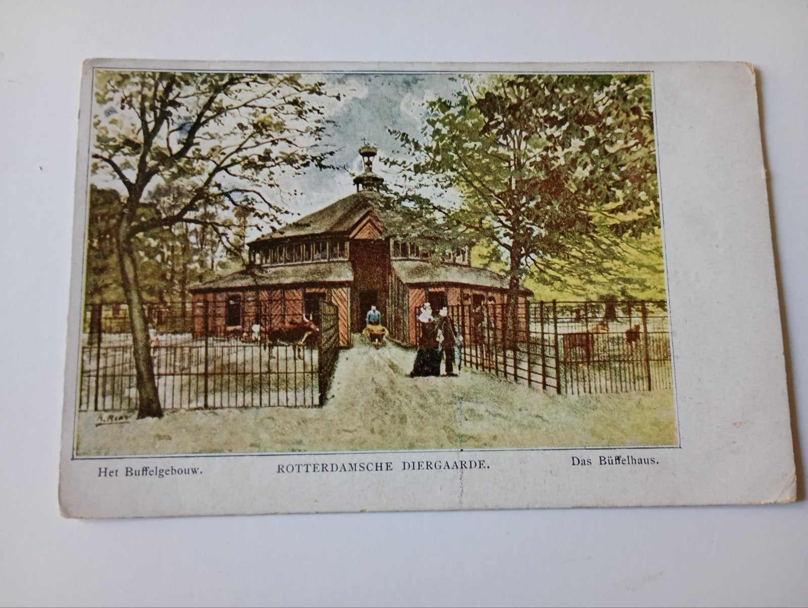 Rotterdam Diergaarde Blijdorp Buffelgebouw 1912, Ophalen of Verzenden, Voor 1920, Gelopen, Zuid-Holland