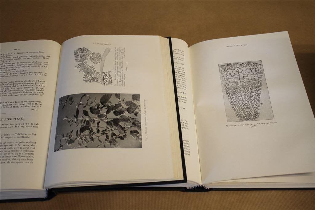 Commentaar op de Codex medicamentorum Nederlandicus., Ophalen of Verzenden, Gelezen