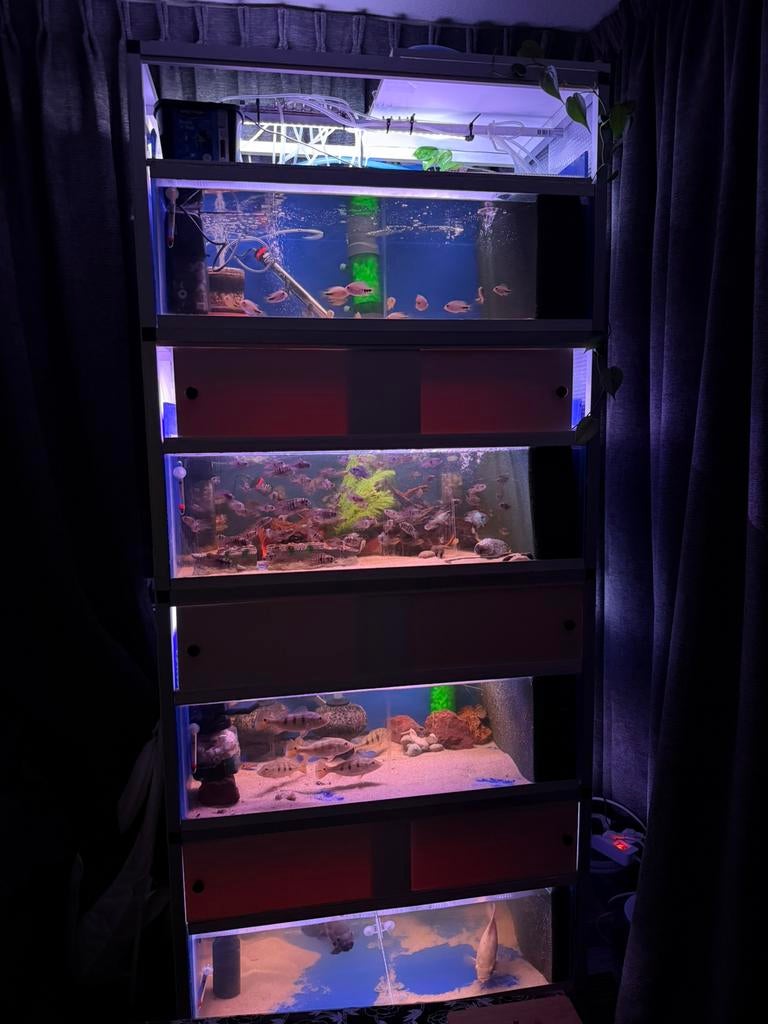 Aquarium stelling compleet, Ophalen, Zo goed als nieuw