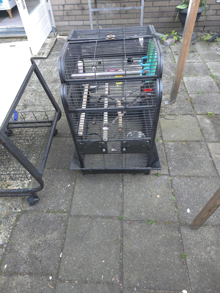 Vogel kooien, Ophalen of Verzenden, Zo goed als nieuw, Metaal, Vogelkooi