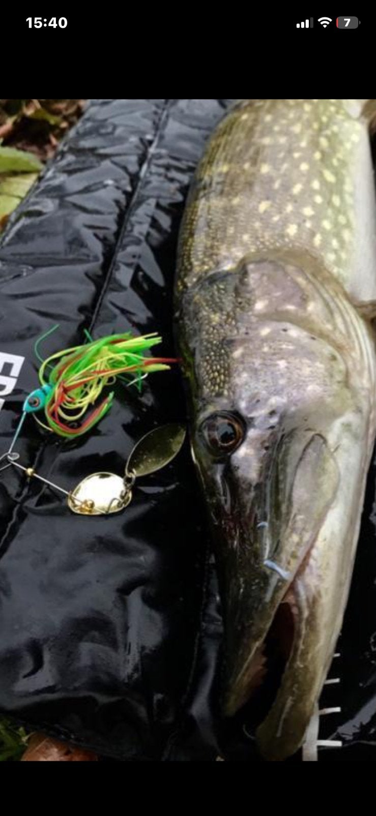 Blinkers kunstaas Spinnerbait aanbieding 6 stuks €15,00, Ophalen of Verzenden, Nieuw, Overige typen