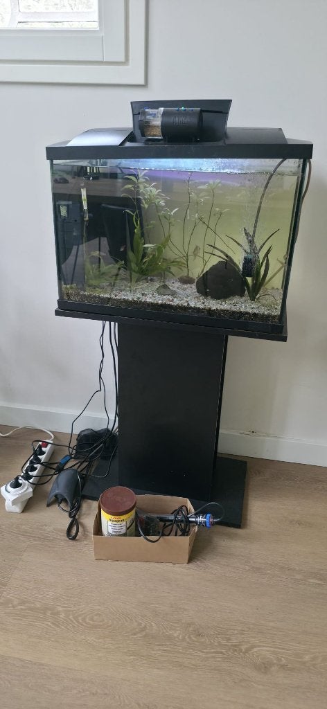 Prachtig aquarium, startklaar, Ophalen, Inclusief vissen, Juwel, Gevuld zoetwateraquarium
