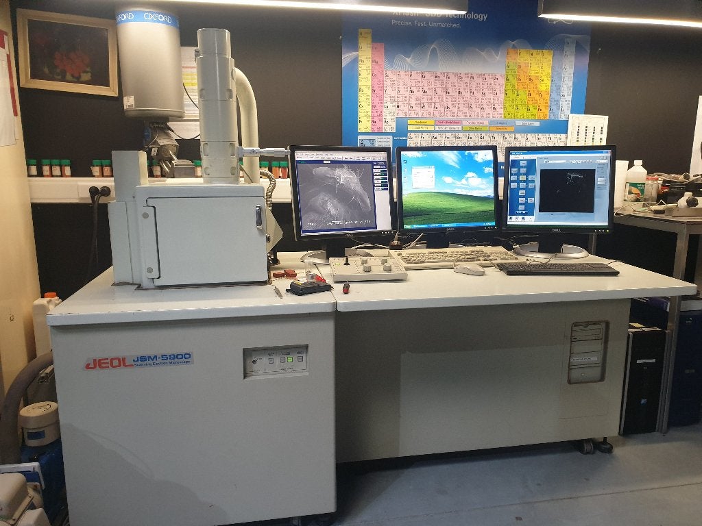 JEOL SJM-5900 Scanning electronen microscoop, Ophalen, Gebruikt, 1000x of meer