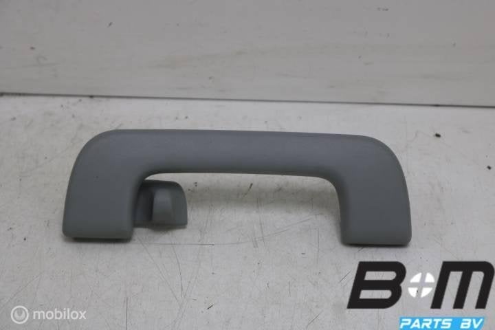 Handgreep in hemel rechtsachter Audi A4 8W 4M0857608, Gebruikt