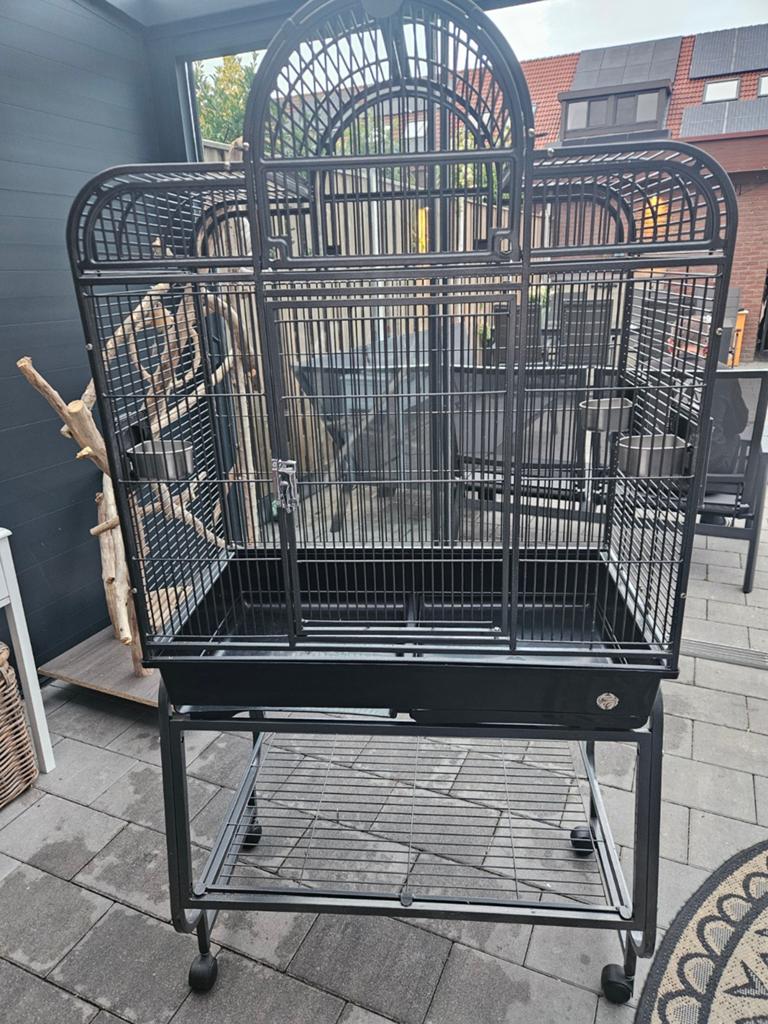 Grote vogelkooi met standaard, Dieren en Toebehoren, Vogels | Hokken en Kooien, Ophalen of Verzenden, Zo goed als nieuw, Metaal