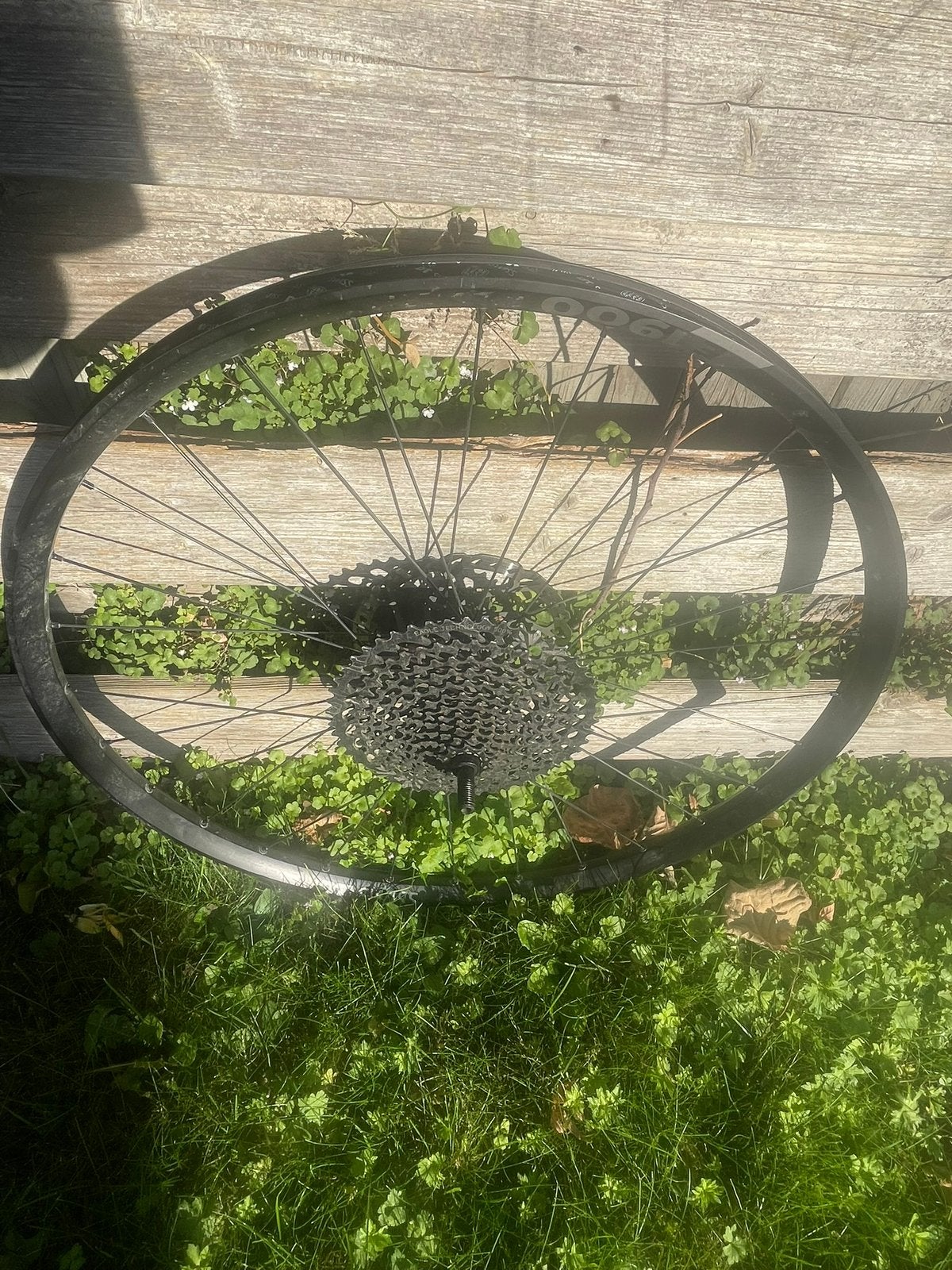 DT Swiss E 1900 Spline Achterwiel 29” met toebehoren, Ophalen of Verzenden, Zo goed als nieuw, Wiel, Aluminium