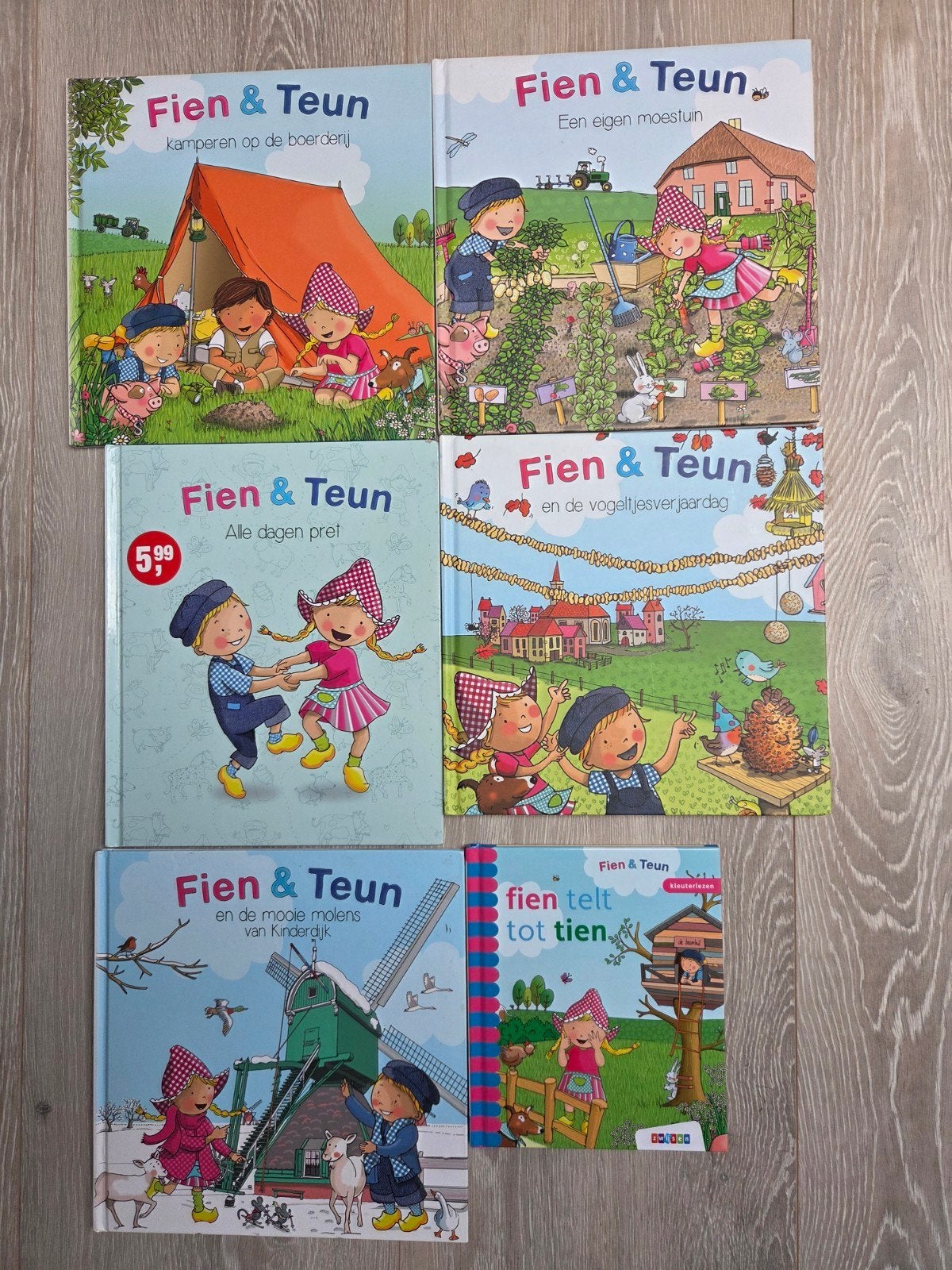 Fien & Teun boeken 6x, Ophalen of Verzenden, Gelezen, Fictie algemeen