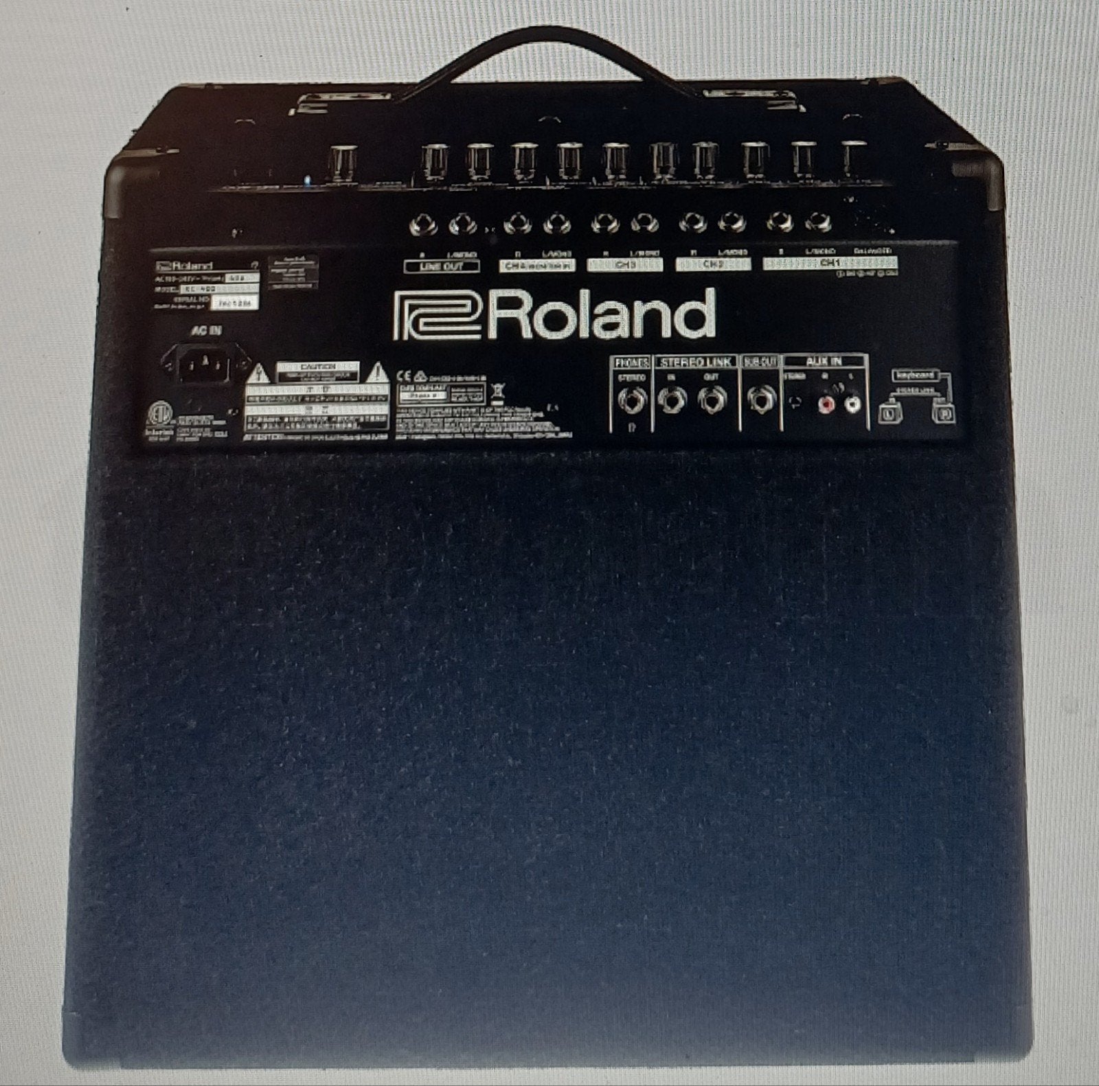 Roland Keyboardversterker, Muziek en Instrumenten, Ophalen, Nieuw, Minder dan 500 watt, Keyboardversterker