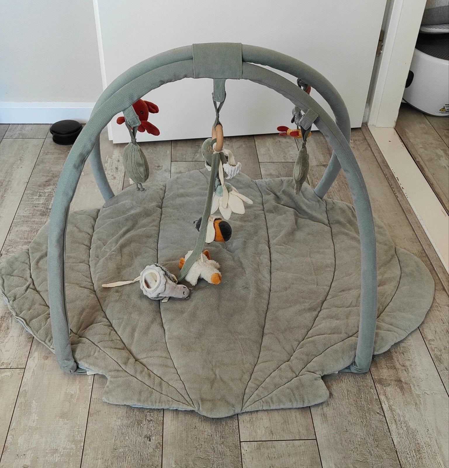 Little Dutch Schelp Speelkleed met Babygym, Ophalen of Verzenden, Gebruikt, Speelkleed