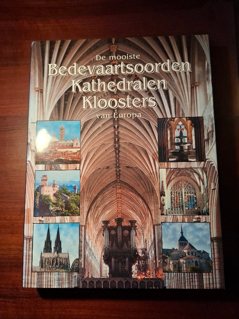 Kunstboek - Bedevaartsoorden Kathedralen Kloosters Europa, Gelezen, Brambock, Ophalen of Verzenden, Stijl of Stroming
