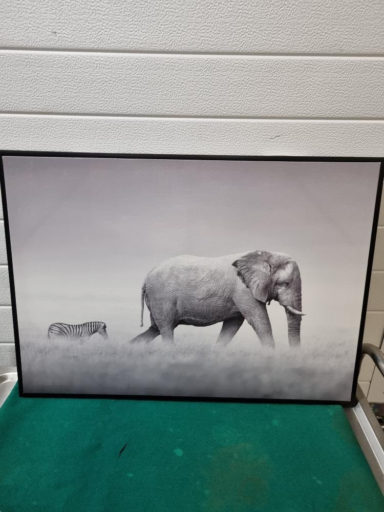 schilderij fotodoek zebra en olifant in zwarte lijst, Huis en Inrichting, Woonaccessoires | Schilderijen, Tekeningen en Foto's