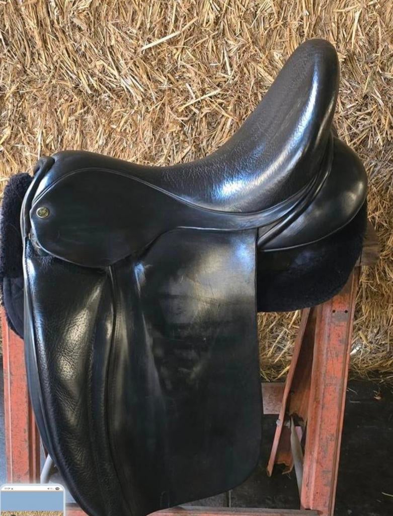 Dressuurzadels. Ainsley, chamberlain, hulsebos., Ophalen of Verzenden, Zo goed als nieuw, Dressuur