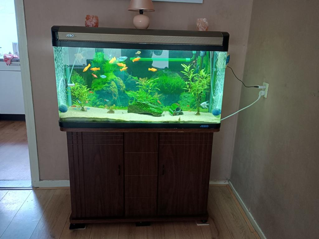 Jebo aquarium 1.00 x 0.60 x 0.40. met onderkast., Dieren en Toebehoren, Ophalen, Zo goed als nieuw, Gevuld zoetwateraquarium