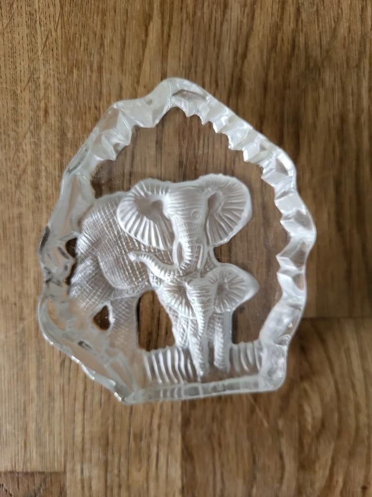 TE KOOP OLIFANT IN GLAS, Antiek en Kunst, Ophalen of Verzenden