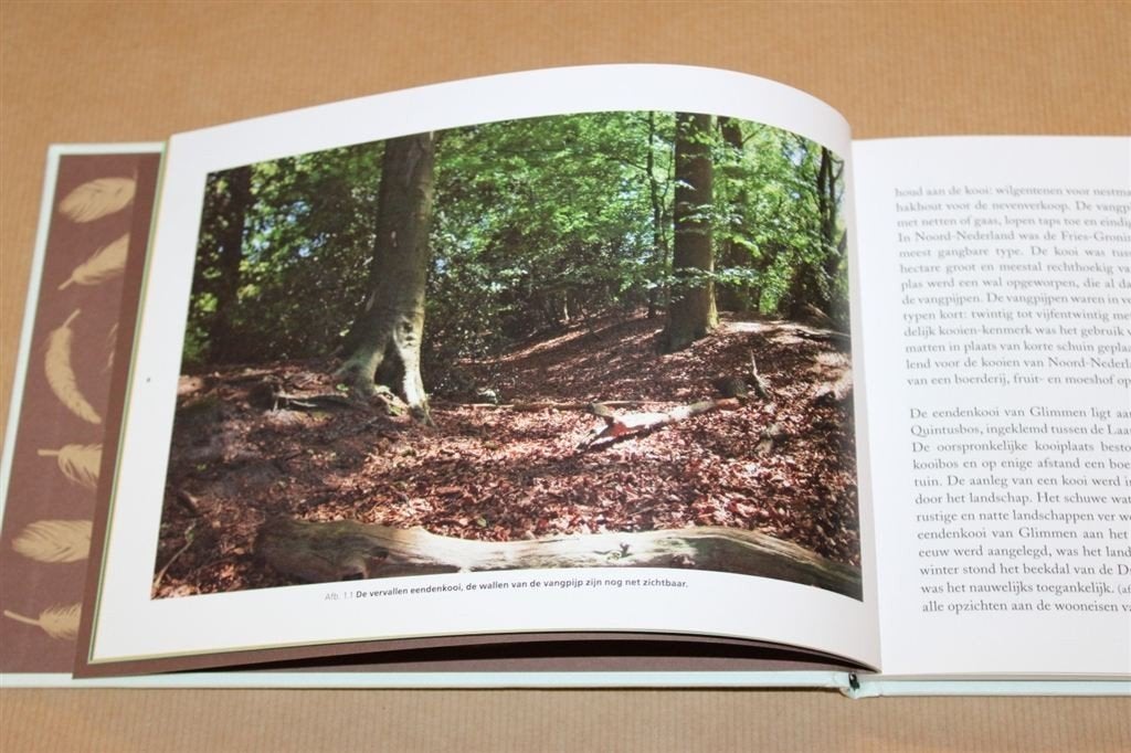 Eenden en eiken. Toekomst eendenkooi van Glimmen., Boeken, Dieren en Huisdieren, Ophalen of Verzenden, Zo goed als nieuw, Katten