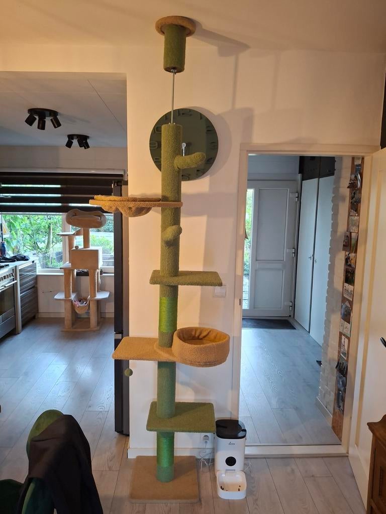 Kamerhoge groene cactus krabpaal, zo goed als nieuw, Ophalen, Zo goed als nieuw, Krabpaal