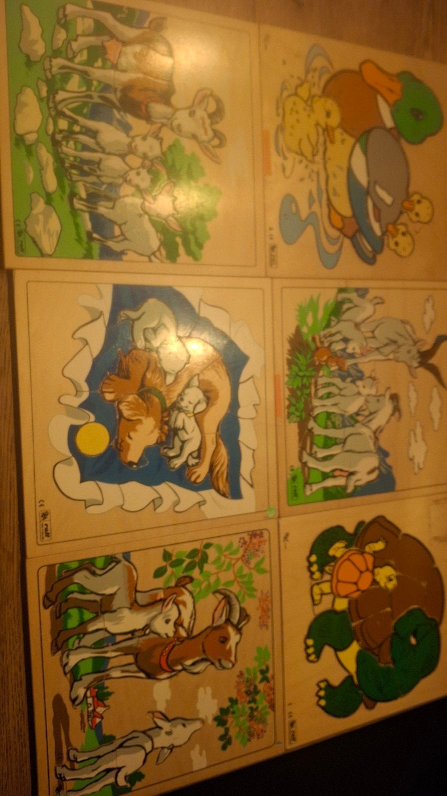 6 mooie houten peuter/kleuter puzzels van Rolf., Kinderen en Baby's, Ophalen of Verzenden