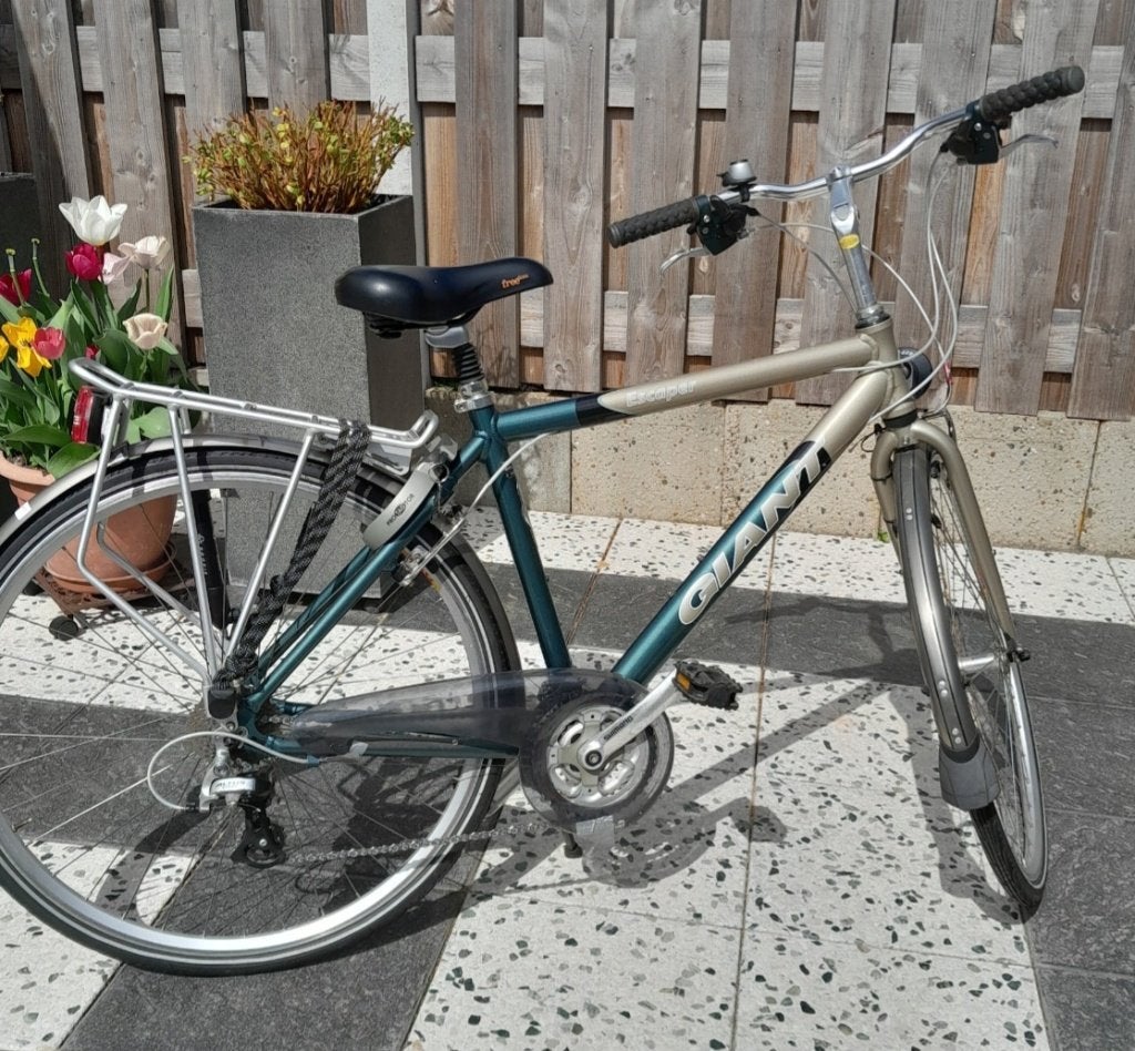 Herenfiets merk Giant Escaper, Ophalen, Gebruikt, Velgrem, Versnellingen