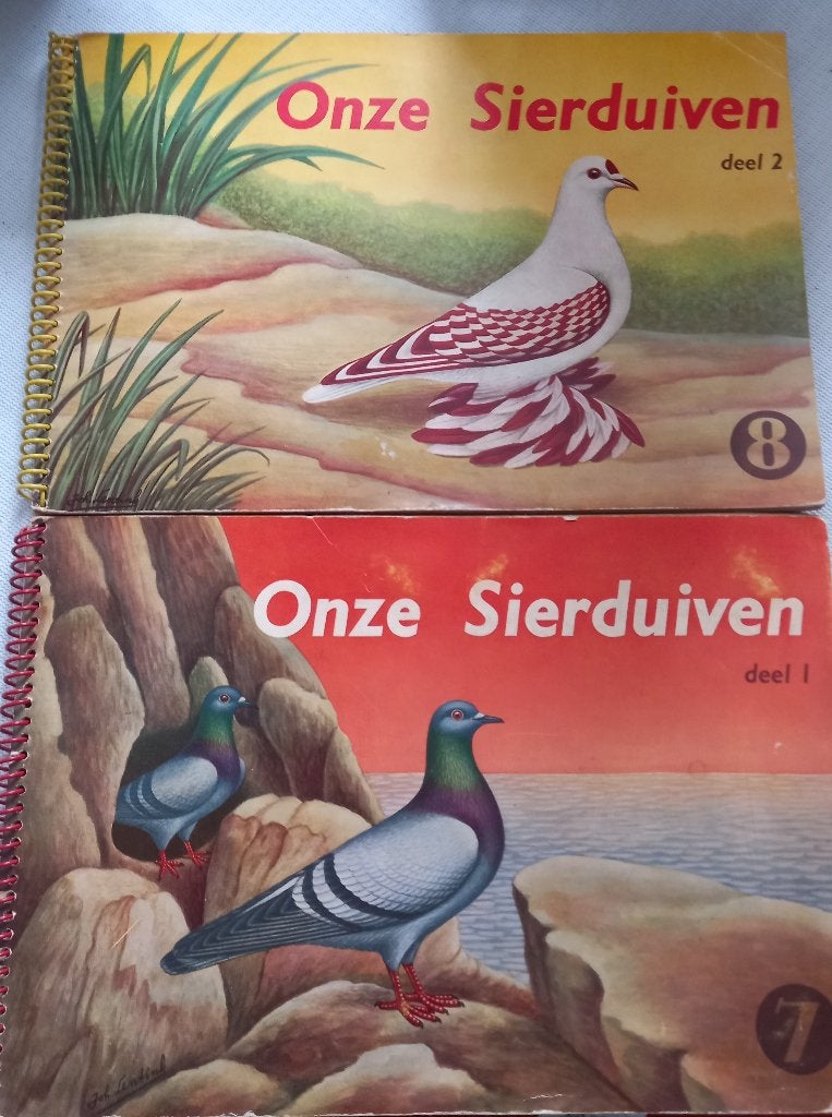Duiven en benodigheden, Dieren en Toebehoren, Vogels | Duiven, Meerdere dieren, Tuimelaar of Roller