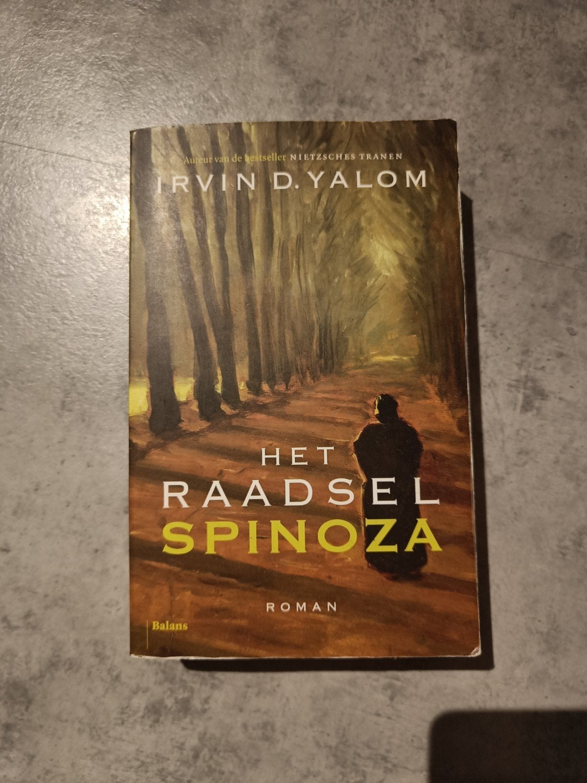 Het Raadsel Spinoza - Irvin D. Yalom (Roman), Ophalen of Verzenden, Zo goed als nieuw, Irvin D. Yalom, Nederland