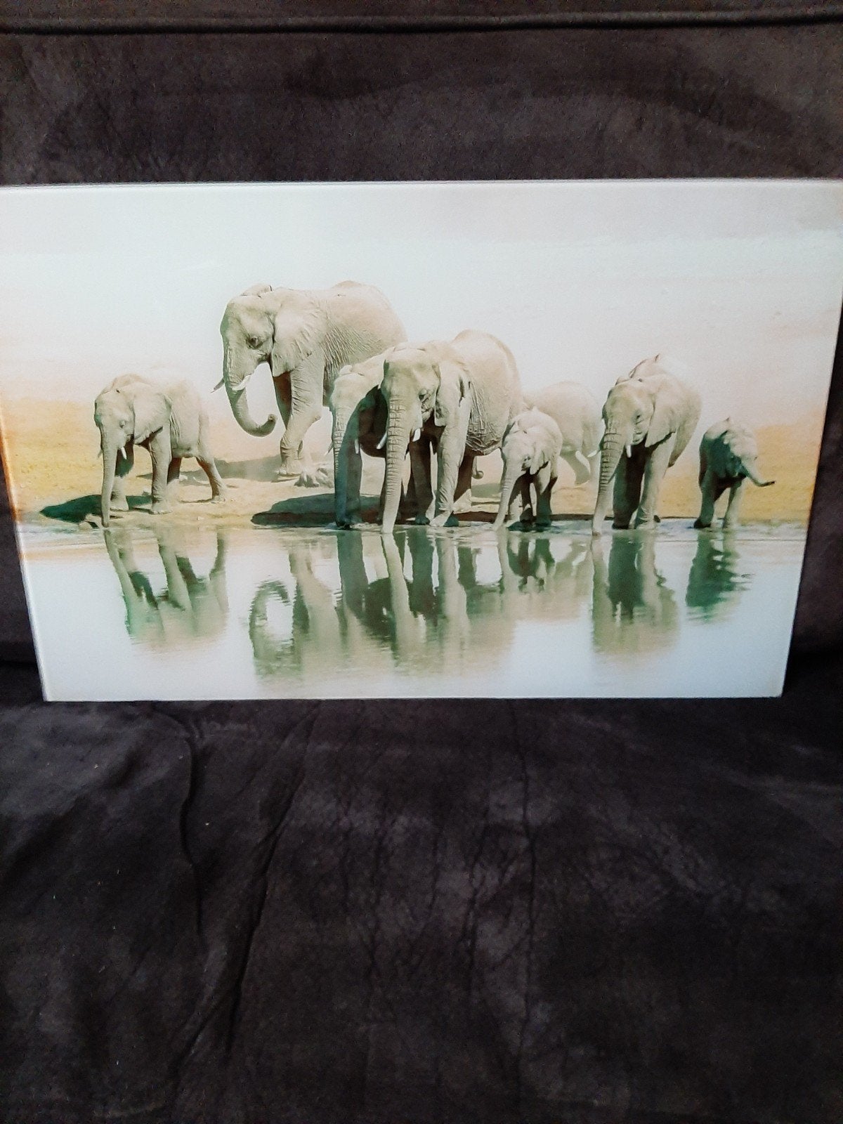 Olifanten schilderij van glas, 50 – 75, Ophalen of Verzenden, Zo goed als nieuw, Schilderij