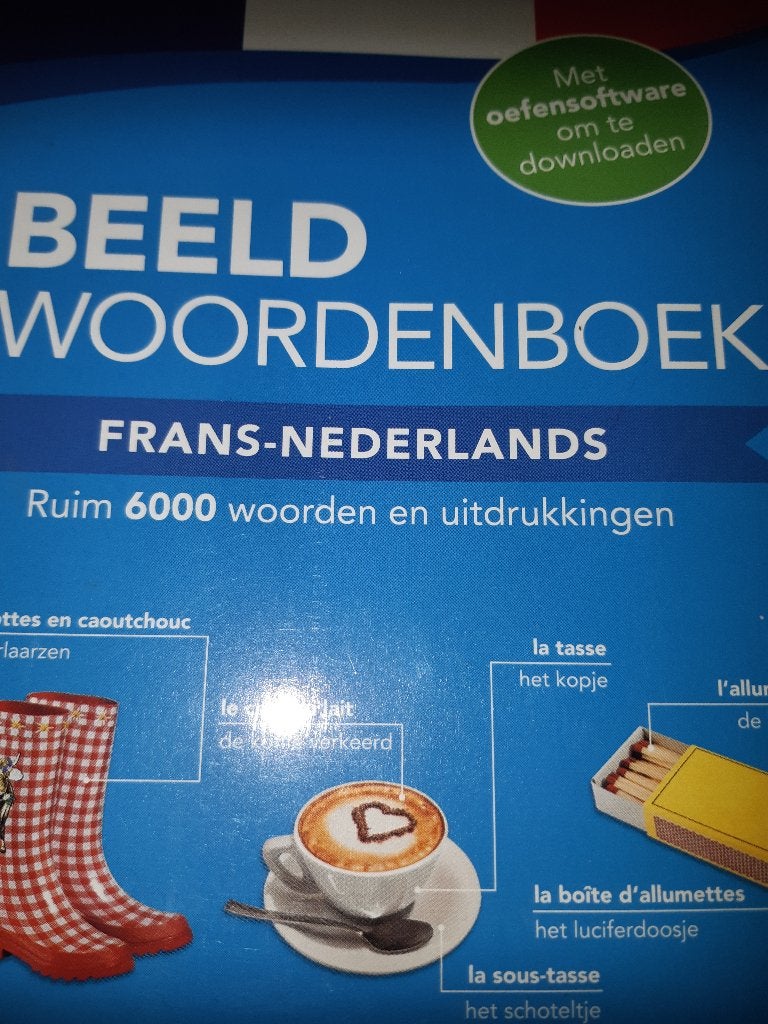 Beeldwoordenboek Frans, Ophalen of Verzenden, Zo goed als nieuw, Van Dale, Frans