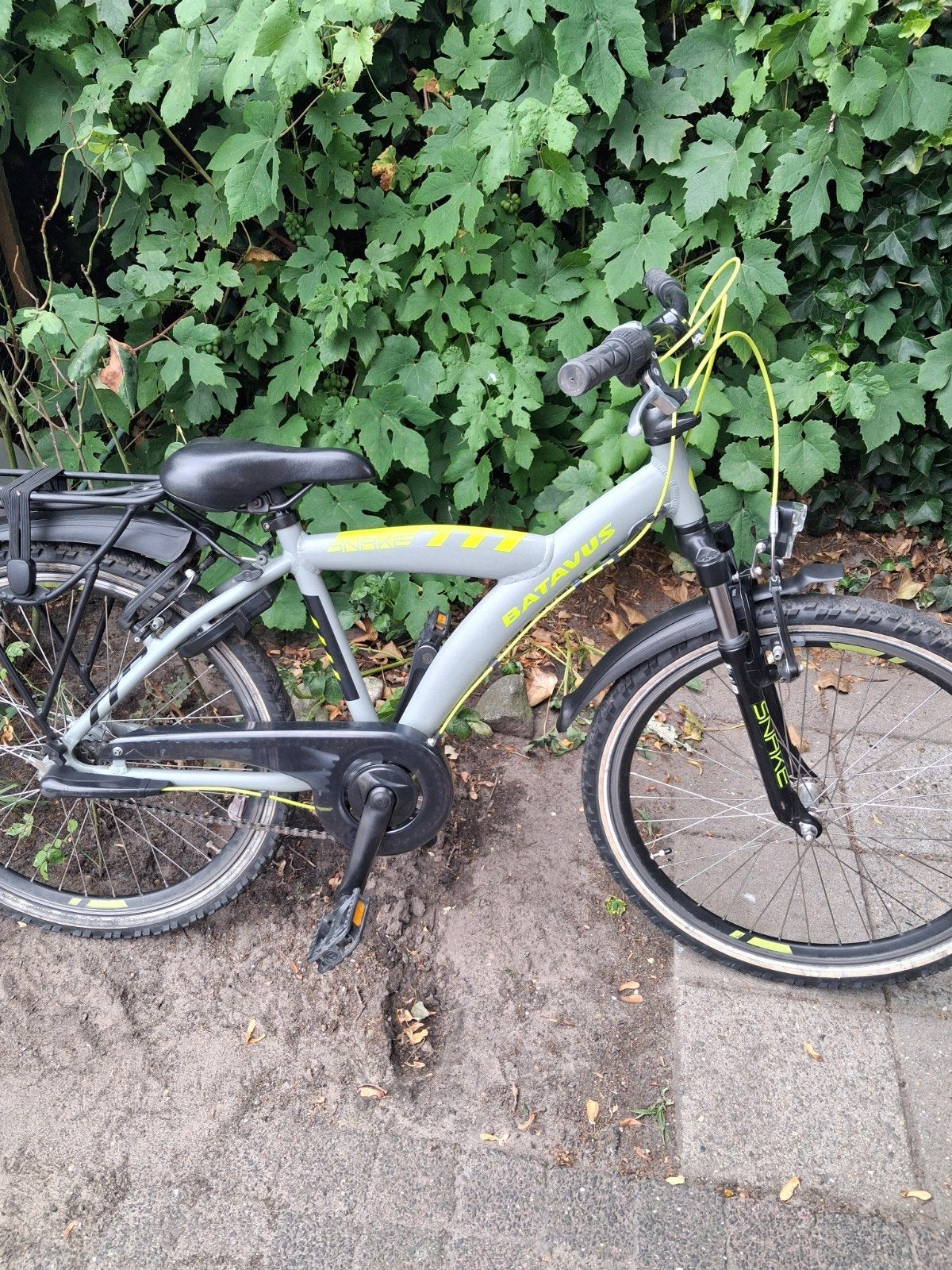 batavus snake 24 inch, Ophalen, Zo goed als nieuw, 24 inch, Versnellingen