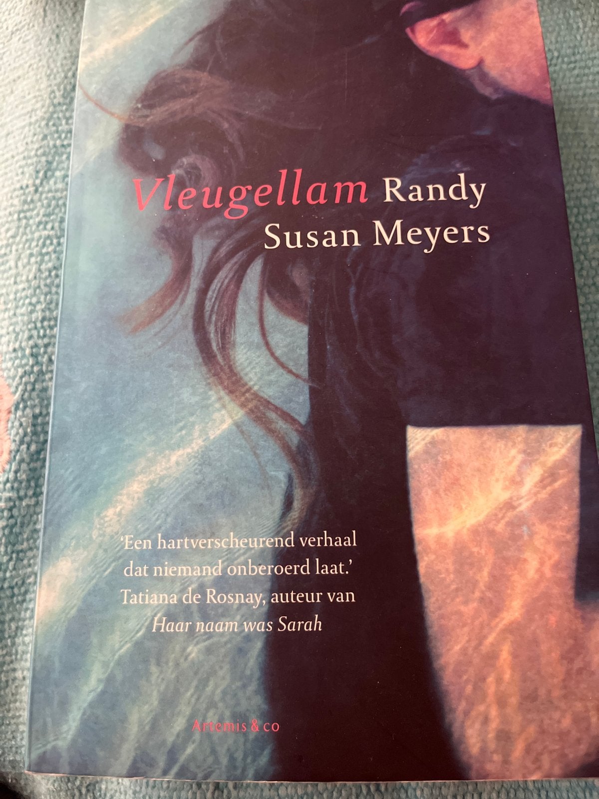 Vleugellam - Randy Susan Meyers (Boek), Ophalen of Verzenden, Zo goed als nieuw