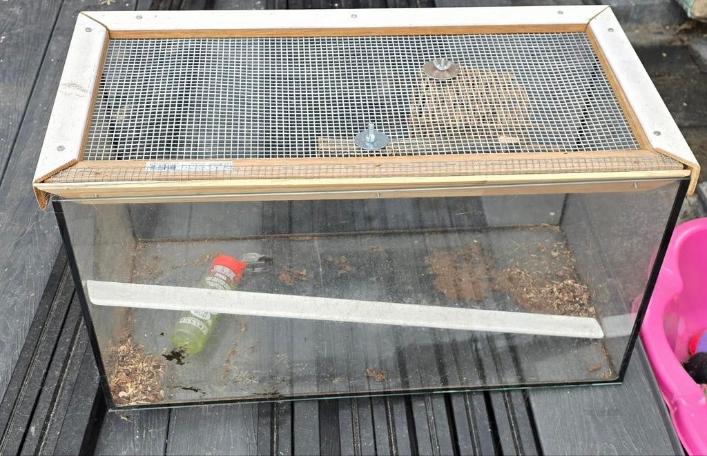 Glazen bak geschikt voor kleine knaagdieren., Ophalen, Kooi, Minder dan 60 cm