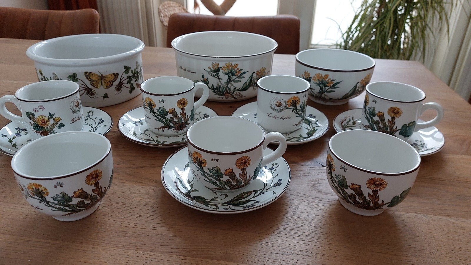 Vintage Servies met Botanische Print - Kopjes, Schalen, Keramiek, Ophalen of Verzenden, Zo goed als nieuw, Overige stijlen