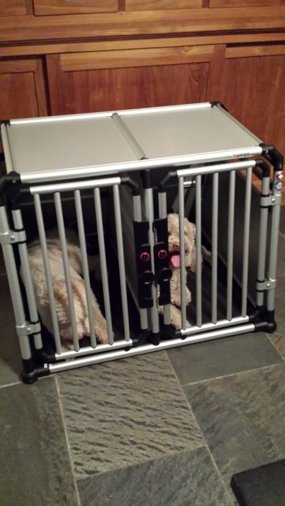 4pets autohondenbench, Dieren en Toebehoren, Hondenbenches, Zo goed als nieuw, Ophalen