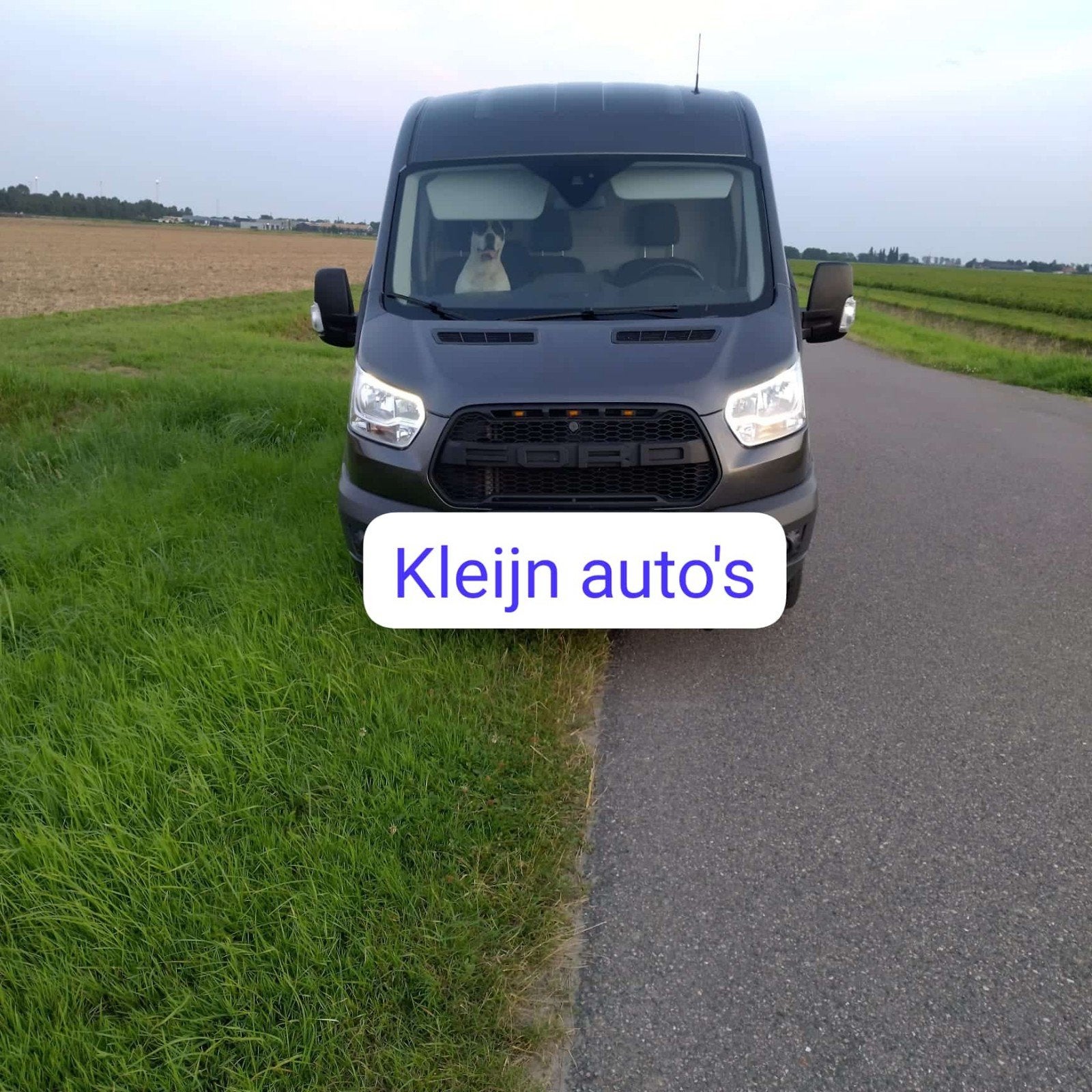 Grill transit 2014 t/m 2019 trial grill Raptor grill, Ford, Nieuw, Ophalen of Verzenden, Ford