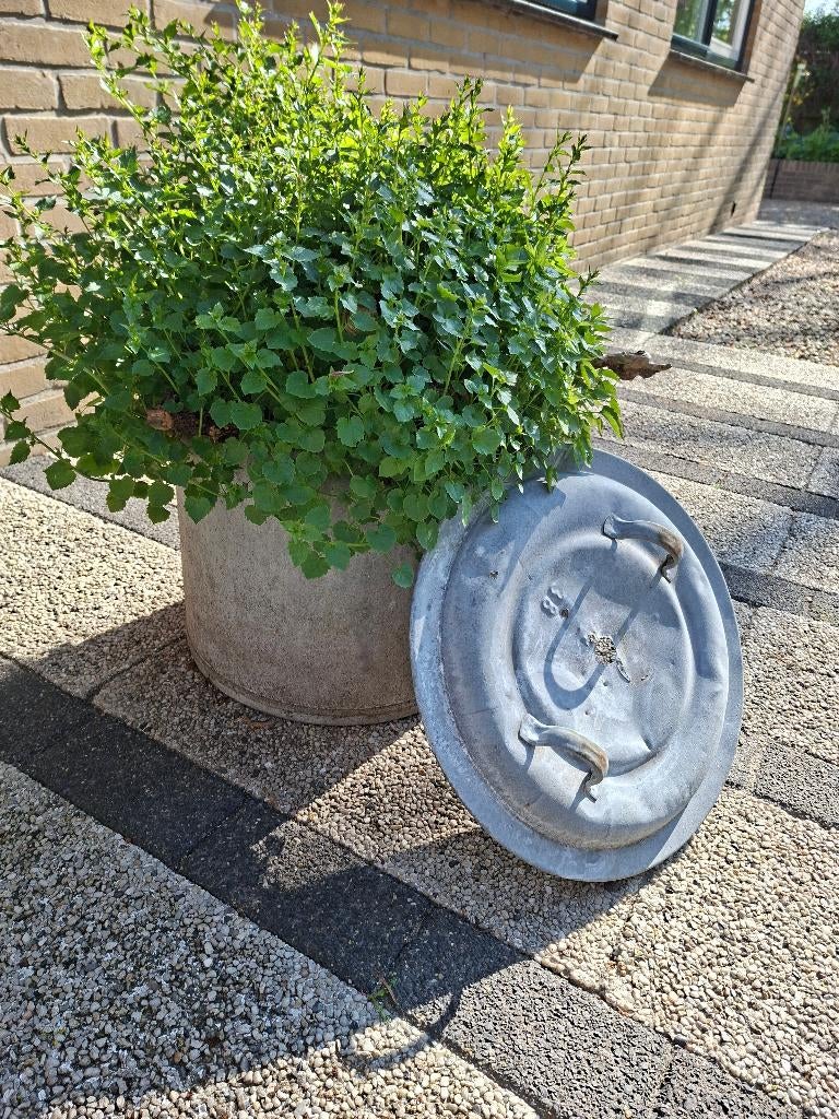 Zinken wasketel met deksel en gieter, Ophalen, Gebruikt