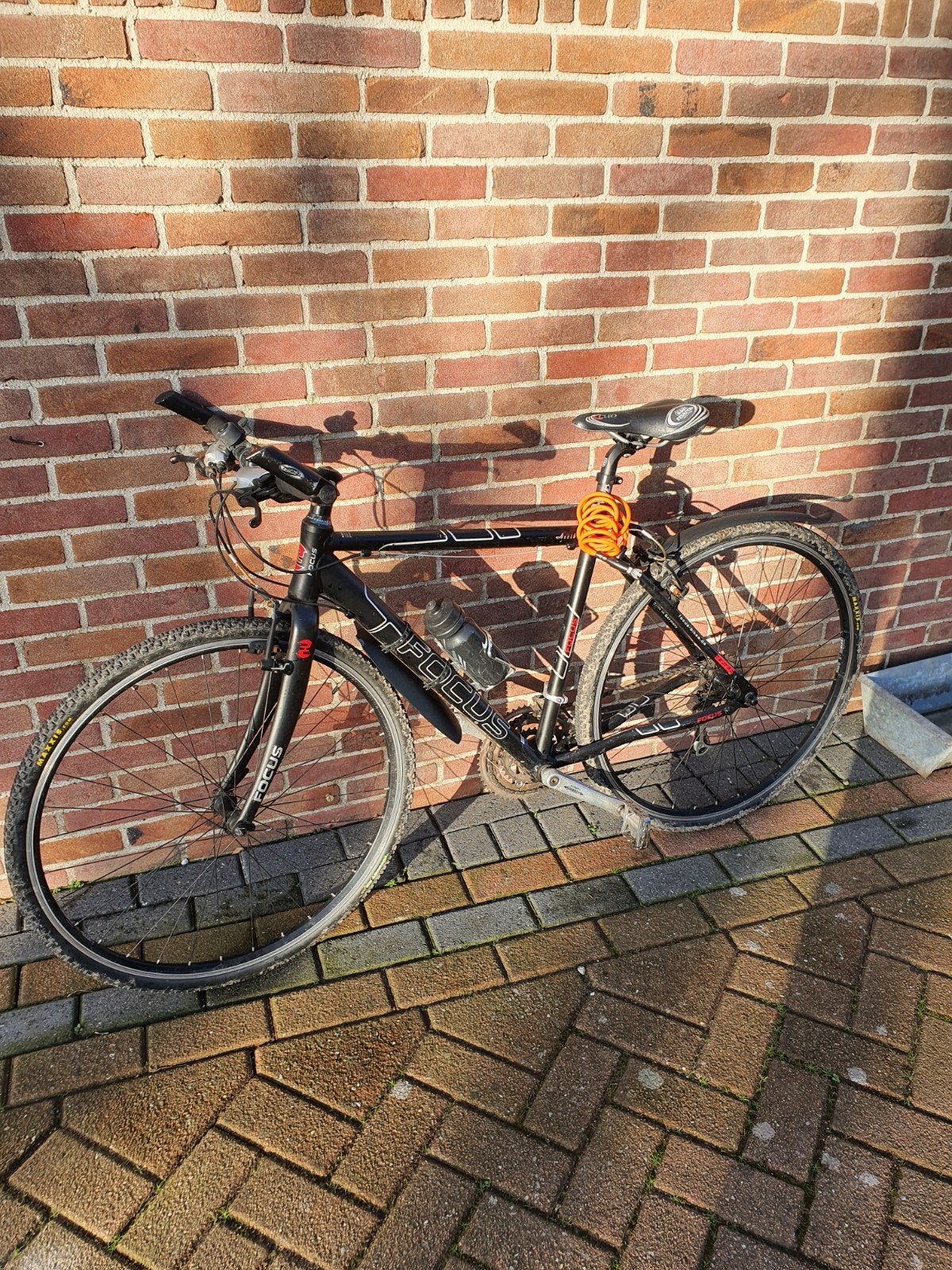 Focus veldfiets met 24 versnellingen, Zo goed als nieuw, Meer dan 20 versnellingen, 53 tot 57 cm, Ophalen