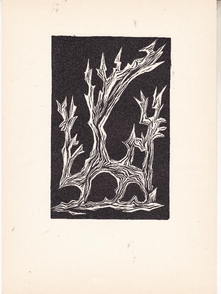 De Ploeg - Grafiek van NU - Piet Snel, Antiek en Kunst, Kunst | Litho's en Zeefdrukken, Ophalen of Verzenden