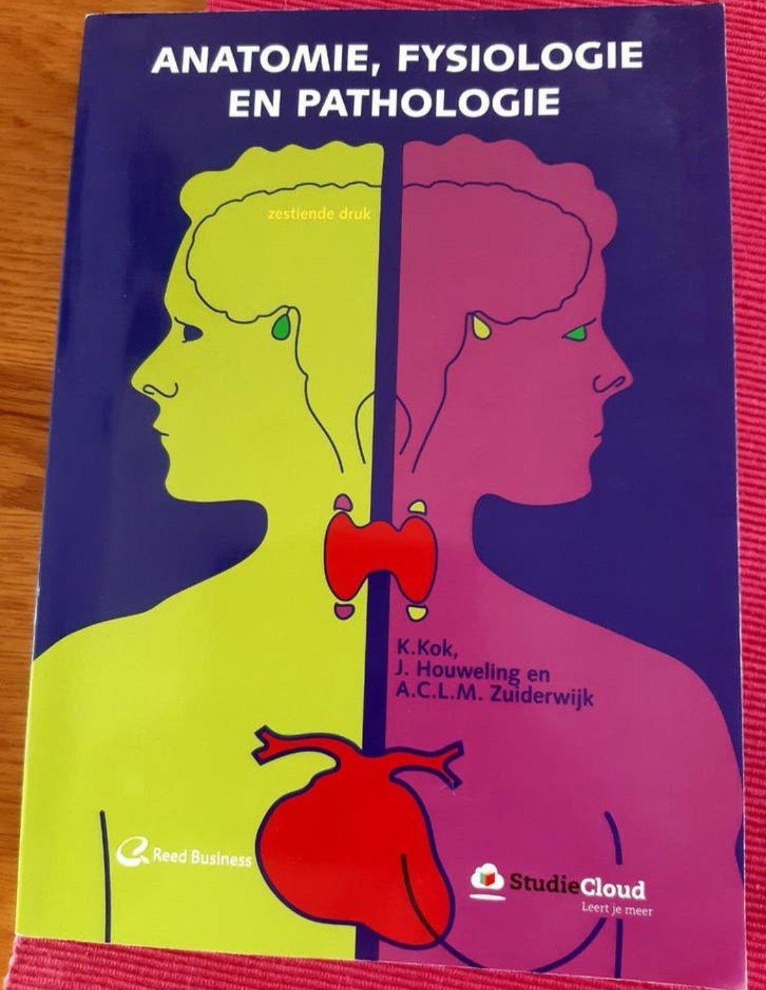 Nieuw anatomie, fysiologie en pathologie. Kok, Houweling, Zu, Ophalen, Nieuw