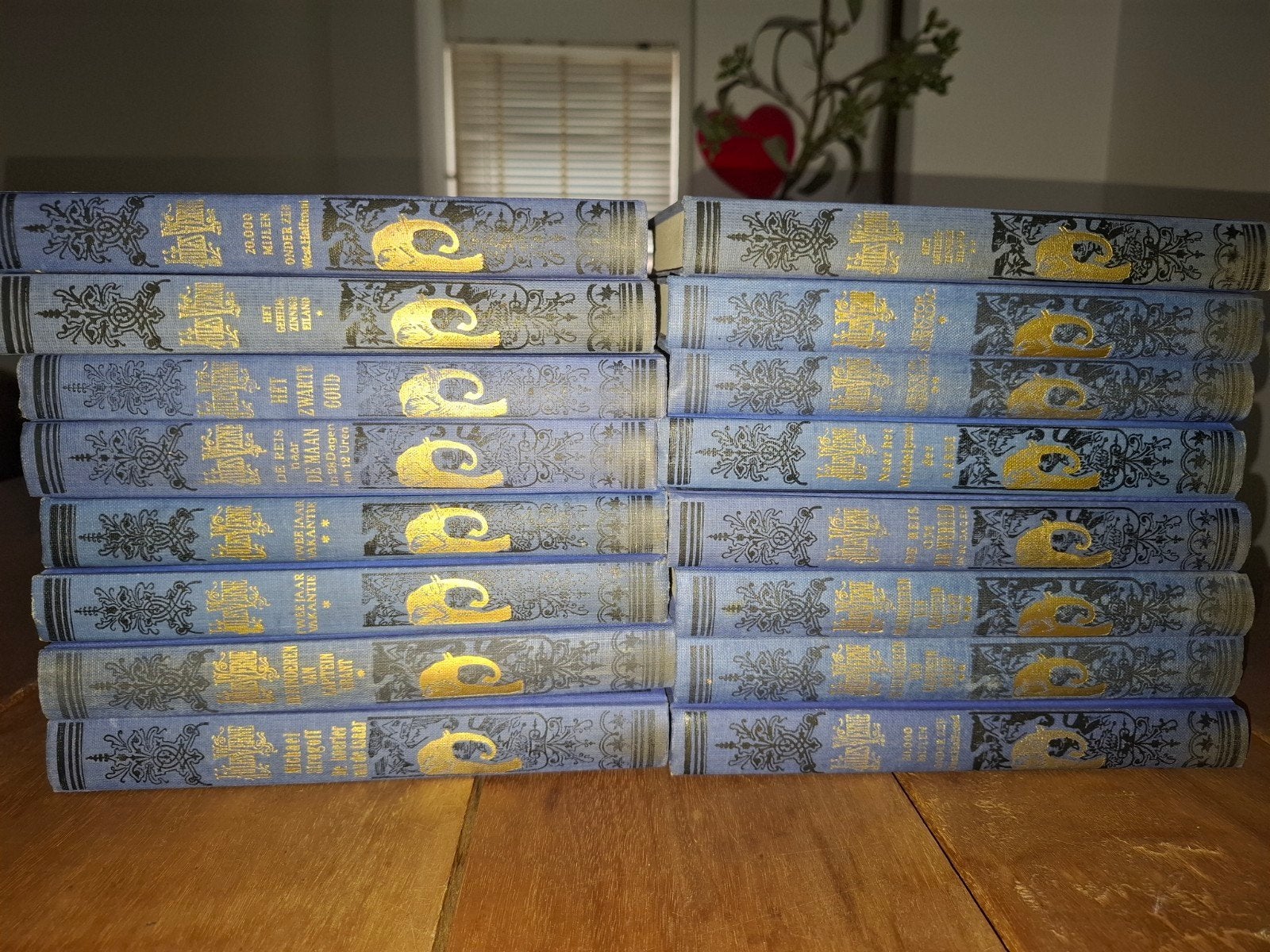 Jules Verne blauwe kaft, Boeken, Ophalen of Verzenden, Zo goed als nieuw, Nederland