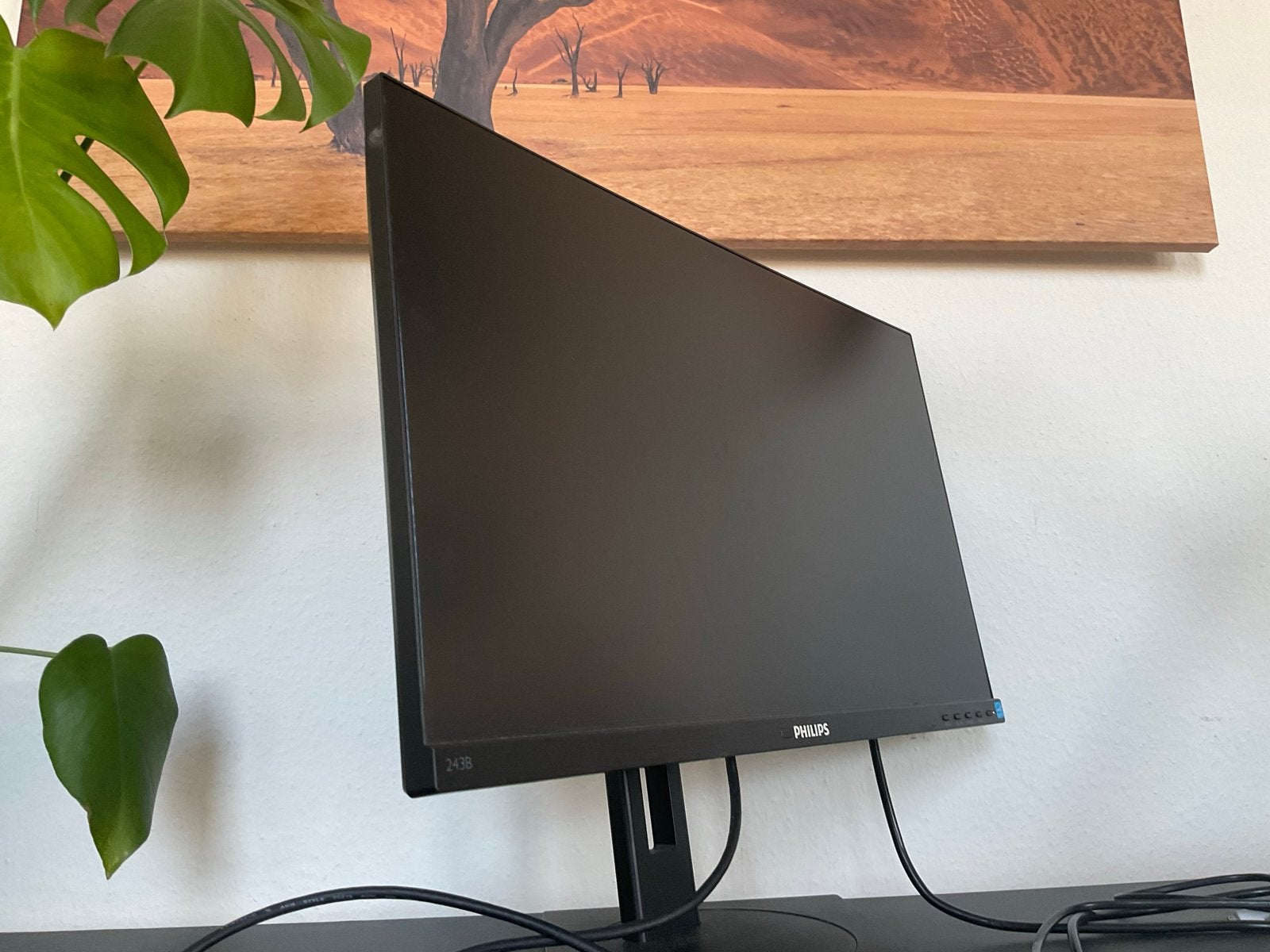 Philips 243B monitor - Full HD, IPS, in hoogte verstelbaar, Computers en Software, Monitoren, Ophalen, IPS, In hoogte verstelbaar