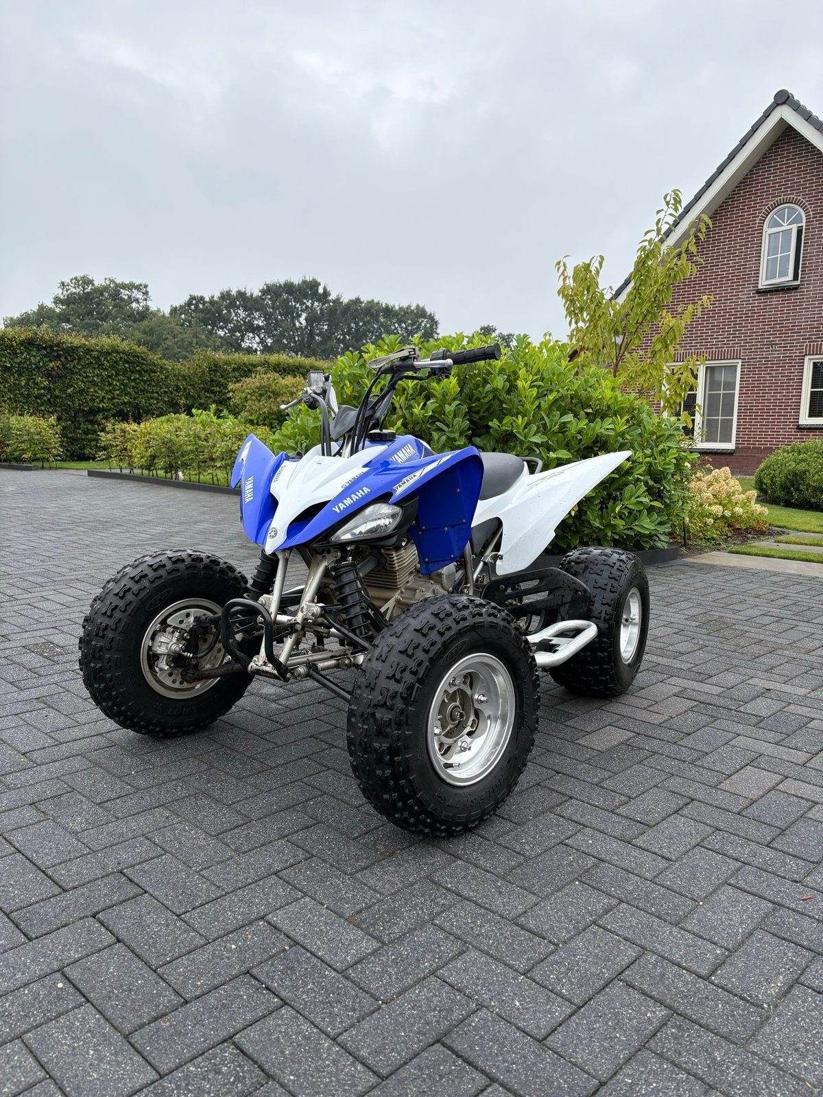 Yamaha YFM 250 Raptor Quad - Blauw/Wit, 1 cilinder, 12 t/m 35 kW