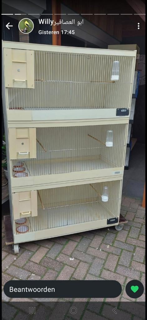 Pascal hemel kunstof broedkooien, Dieren en Toebehoren, Ophalen, Gebruikt, Kunststof, Broedkooi of Kweekkooi