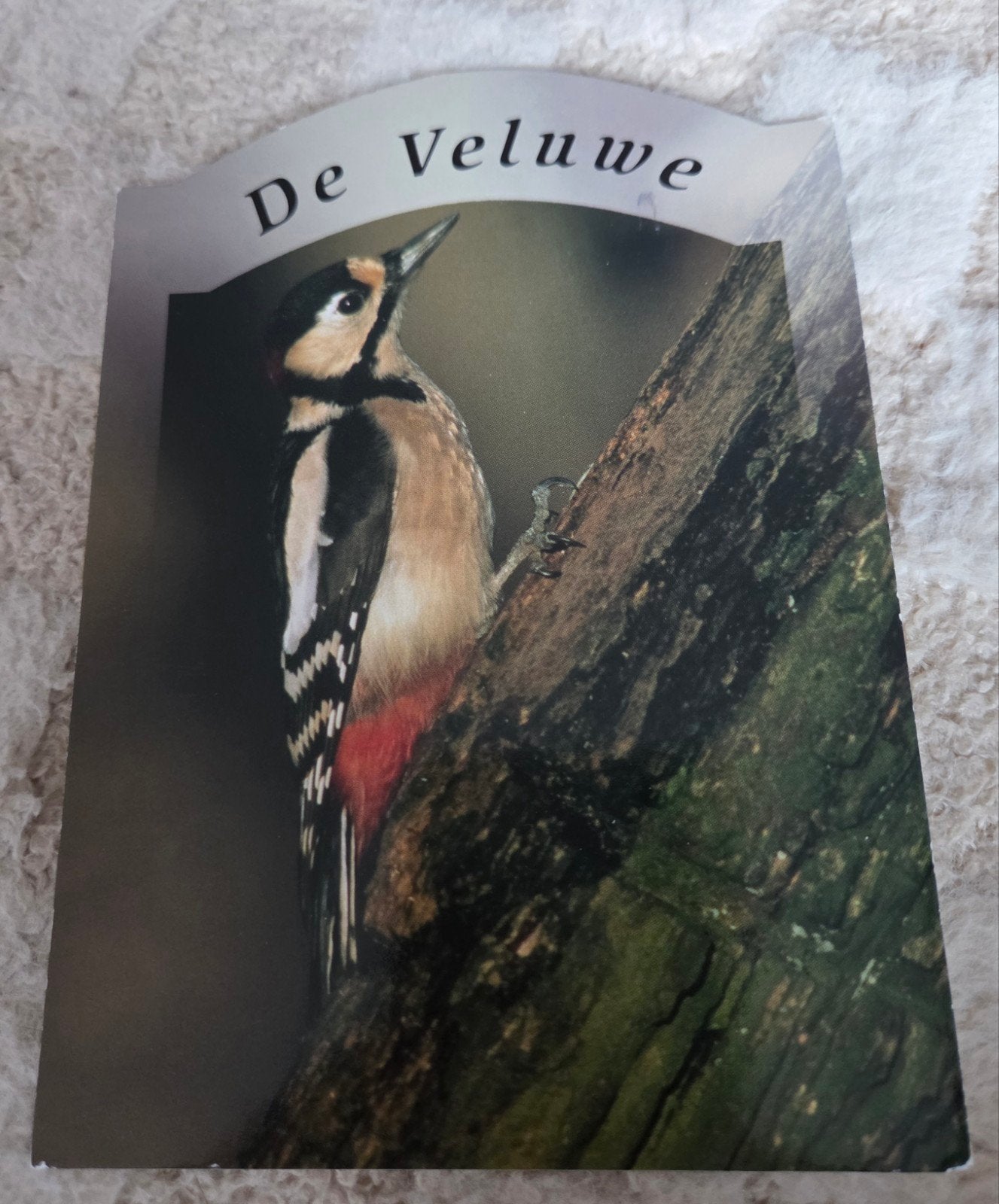 Ansichtkaart De Veluwe - Grote Bonte Specht (Gelopen), Verzenden, 1980 tot heden, Gelopen, Vogel
