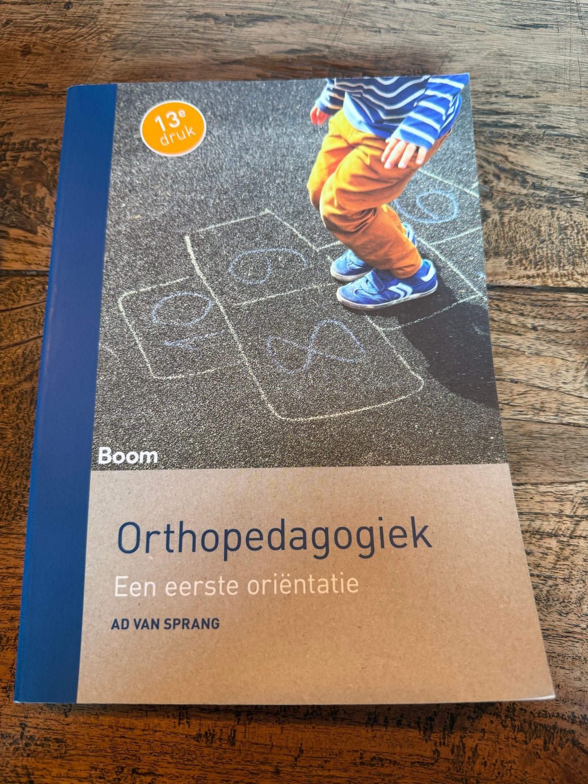 Orthopedagogiek: Een eerste oriëntatie - 13e druk, Ophalen of Verzenden, Gamma, Zo goed als nieuw, HBO